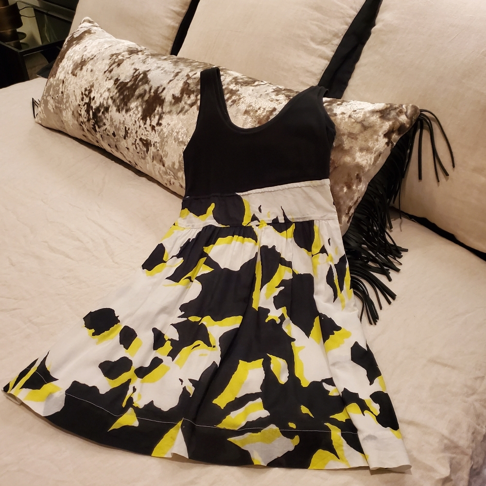 Express a-line dress